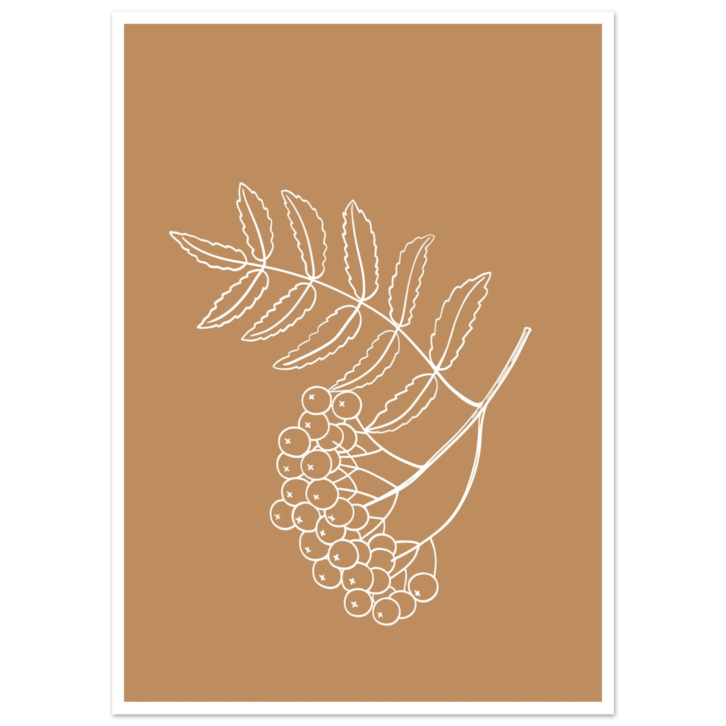 28275fe6-56c7-4401-abf1-b1c0153b6aa2