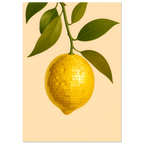 2ff17a24-7ca8-4239-b9b9-eec34bde7e30